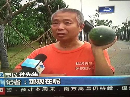 社会热点事件视频 吃瓜视频在线观看,吃瓜视频背后的社会现象